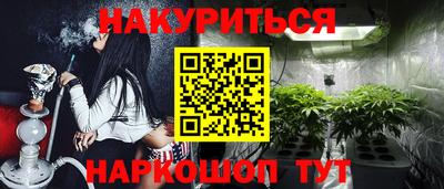 сатива Бийск