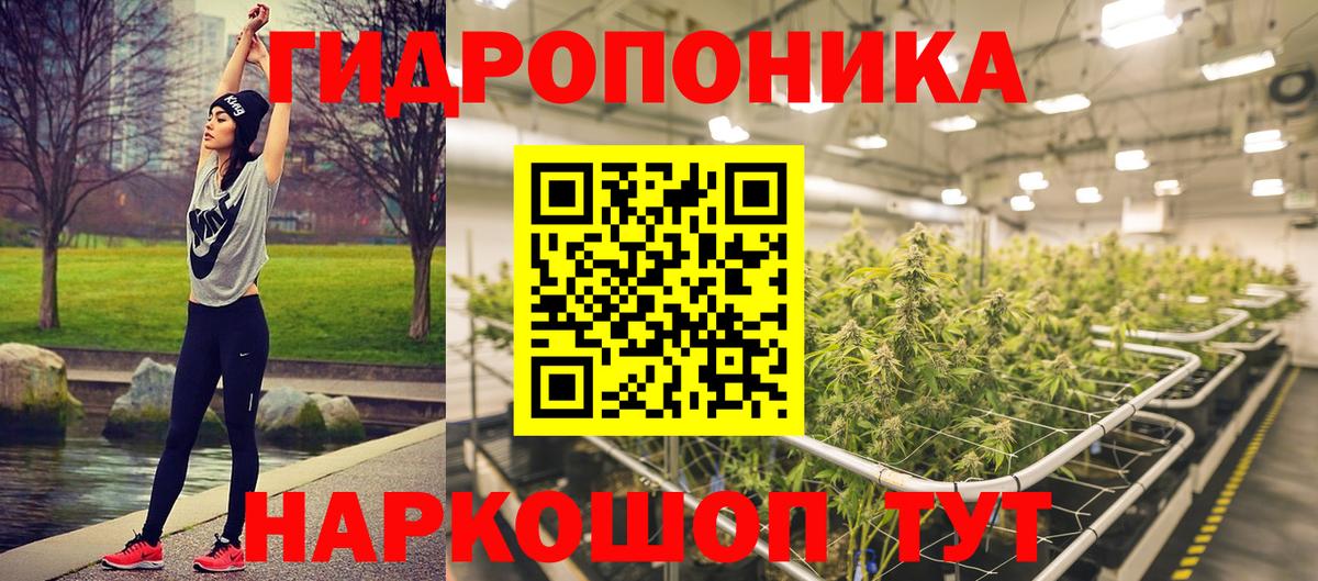 Бошки Шишки индика Балахна